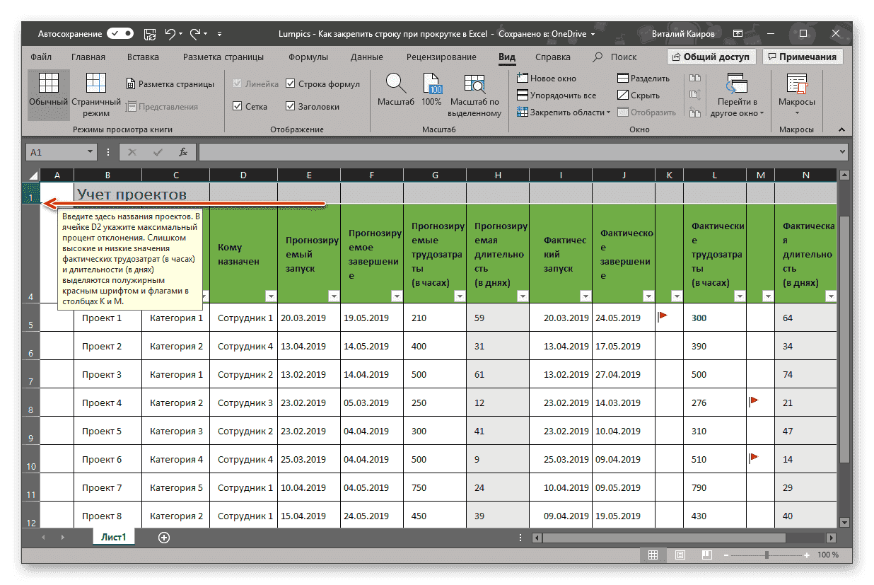 Результат успешной блокировки строки в таблице в Microsoft Excel