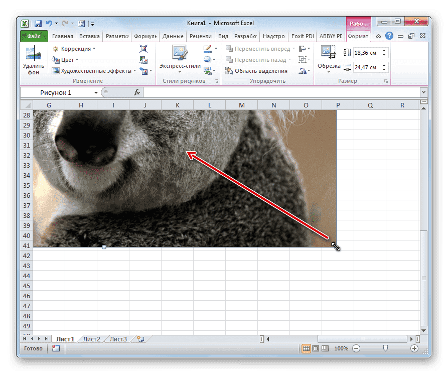 как-привязать-картинку-к-ячежке-в-таблице-excel